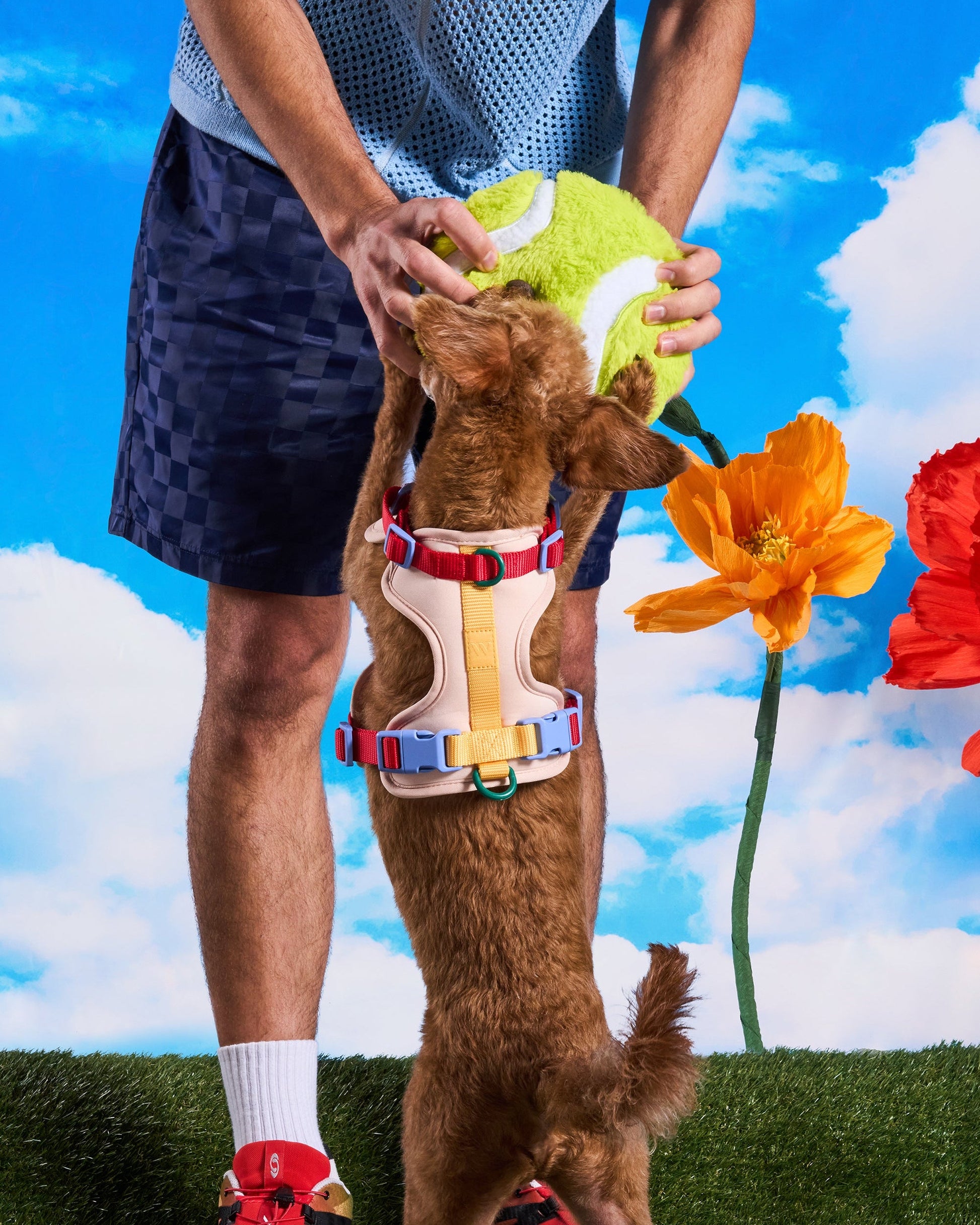 Tennis Ball