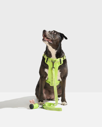 Limeade Reflective