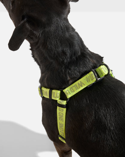 Limeade Reflective